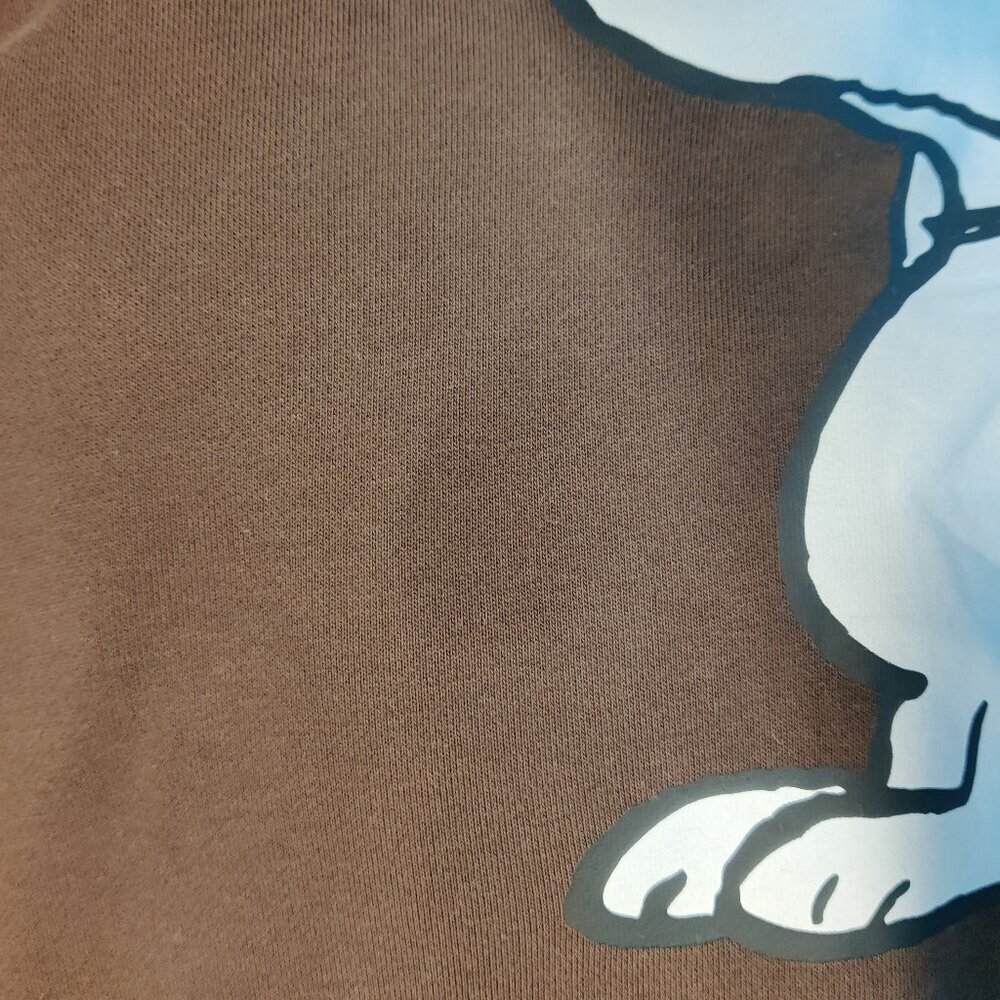 H&M Peanuts Women's Hoodie Size S Regular Fit Brown Snoopy Print Cotton Blend - Picture 9 of 9